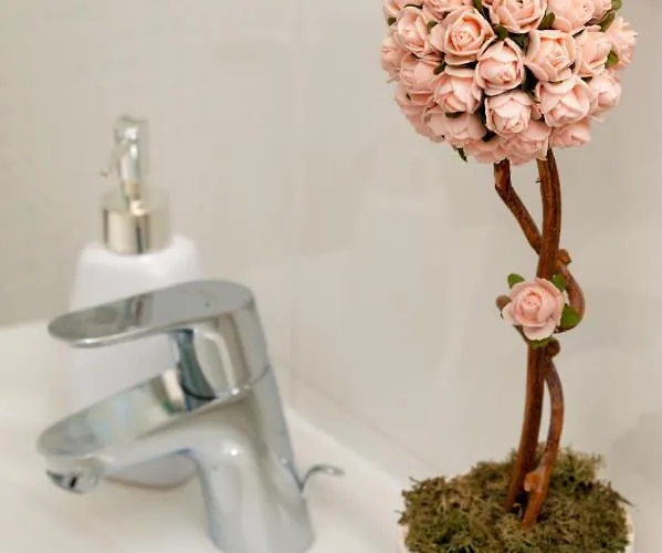Rozac Trogir